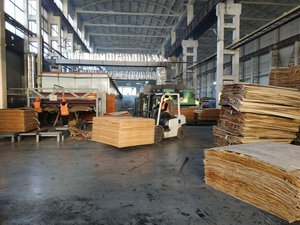 Исследования и кейсы