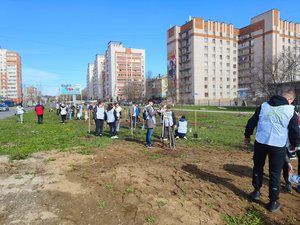 Исследования и кейсы