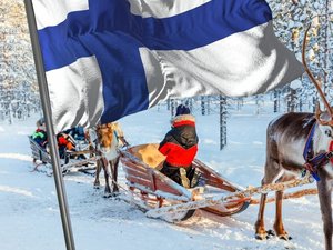 Исследования и кейсы
