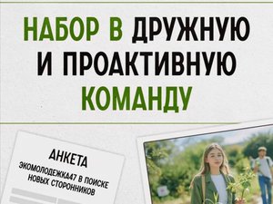 Исследования и кейсы