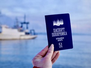 Исследования и кейсы