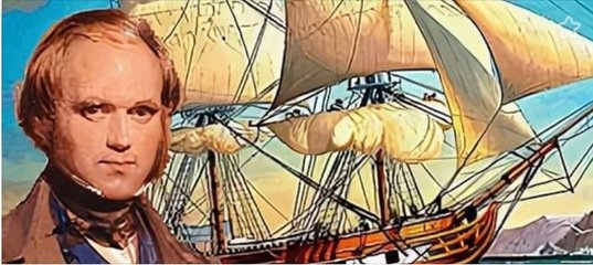 Путешествие, перевернувшее мир: как «Бигль» стал ковчегом новой мысли