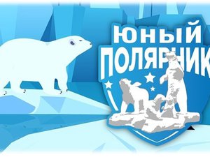 Исследования и кейсы