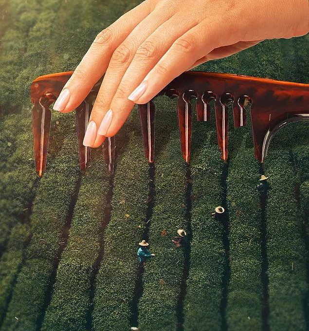 От идолов до NFT: почему мы наделяем предметы искусства сакральным смыслом?