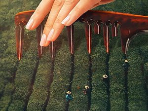 Что волнует общество прямо сейчас