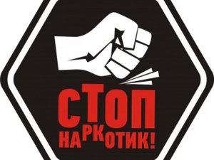 Исследования и кейсы