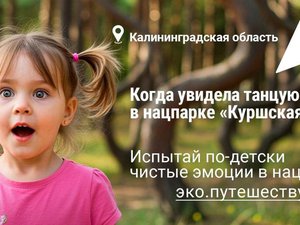 Что волнует общество прямо сейчас