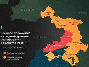 Исследования и кейсы