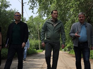 Исследования и кейсы