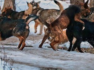 Исследования и кейсы