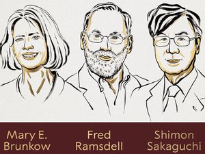 Что волнует общество прямо сейчас