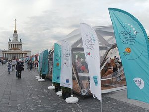 Исследования и кейсы