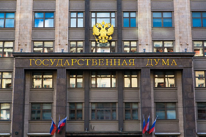 В ГД ждут от Правительства инициативы о защите людей от бродячих собак