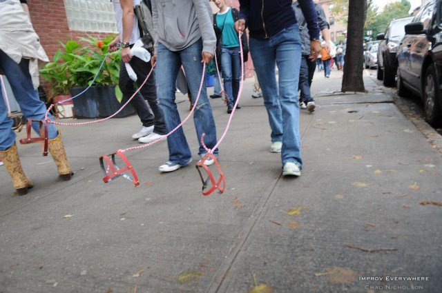 Хоббидоггинг: В Европе начали выгуливать собак-невидимок