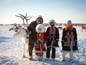 Новости