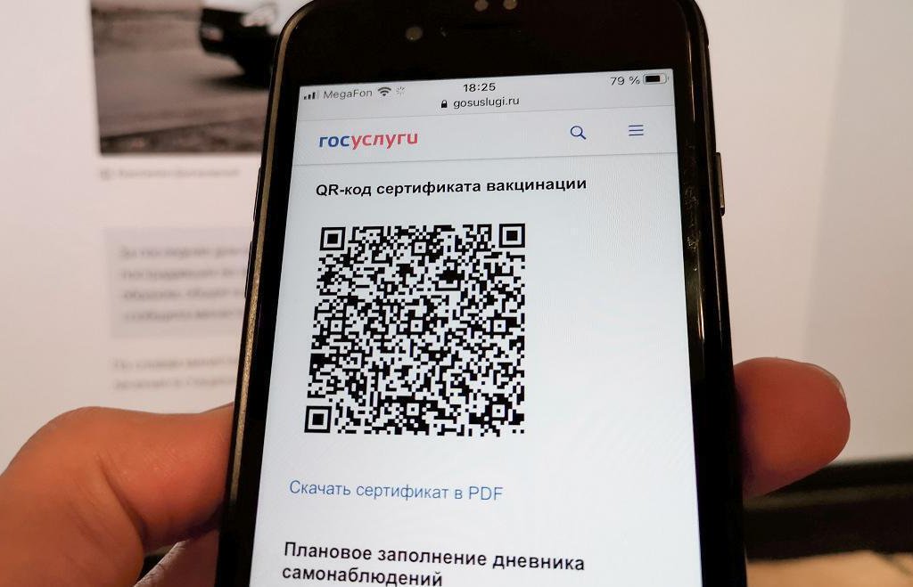 В Роспотребнадзоре не исключили возвращения системы QR-кодов из-за эпидемии гриппа