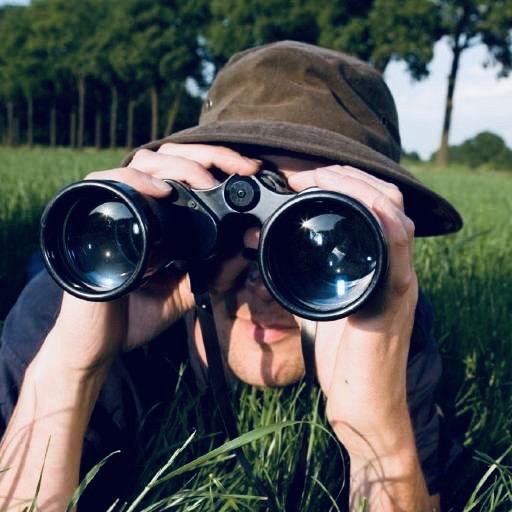 Наблюдать за выборами через ДЭГ будут строго по единому стандарту
