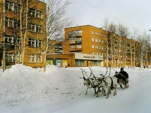 Новости регионов СЗФО