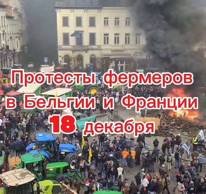 Протесты фермеров в Европе 18 декабря. Чем они недовольны?