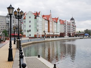 Новости